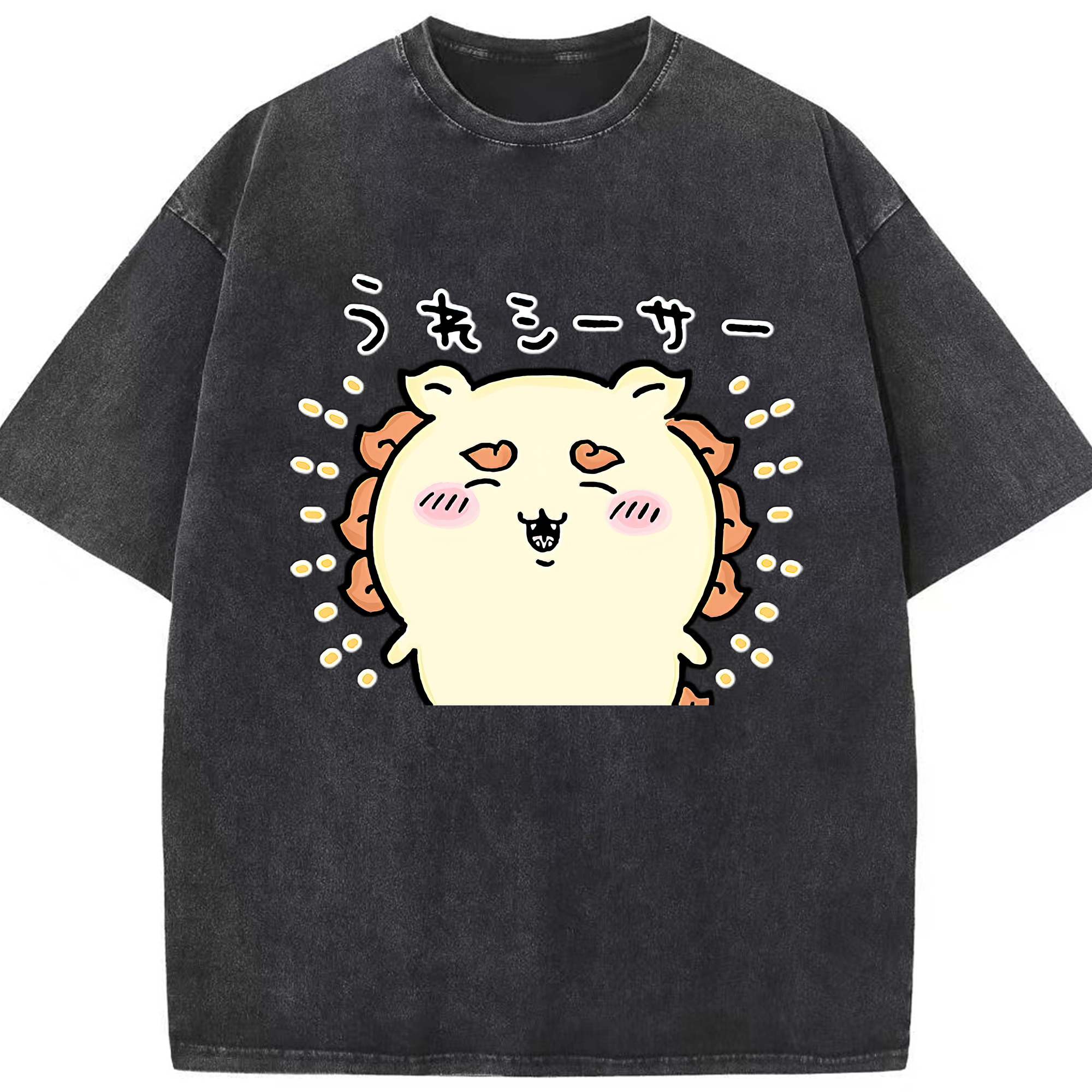 （画像用） ちいかわ シーサー Chii-kawa Shisa 綿100% ヴィンテージ風 半袖Tシャツ（フロントプリント）