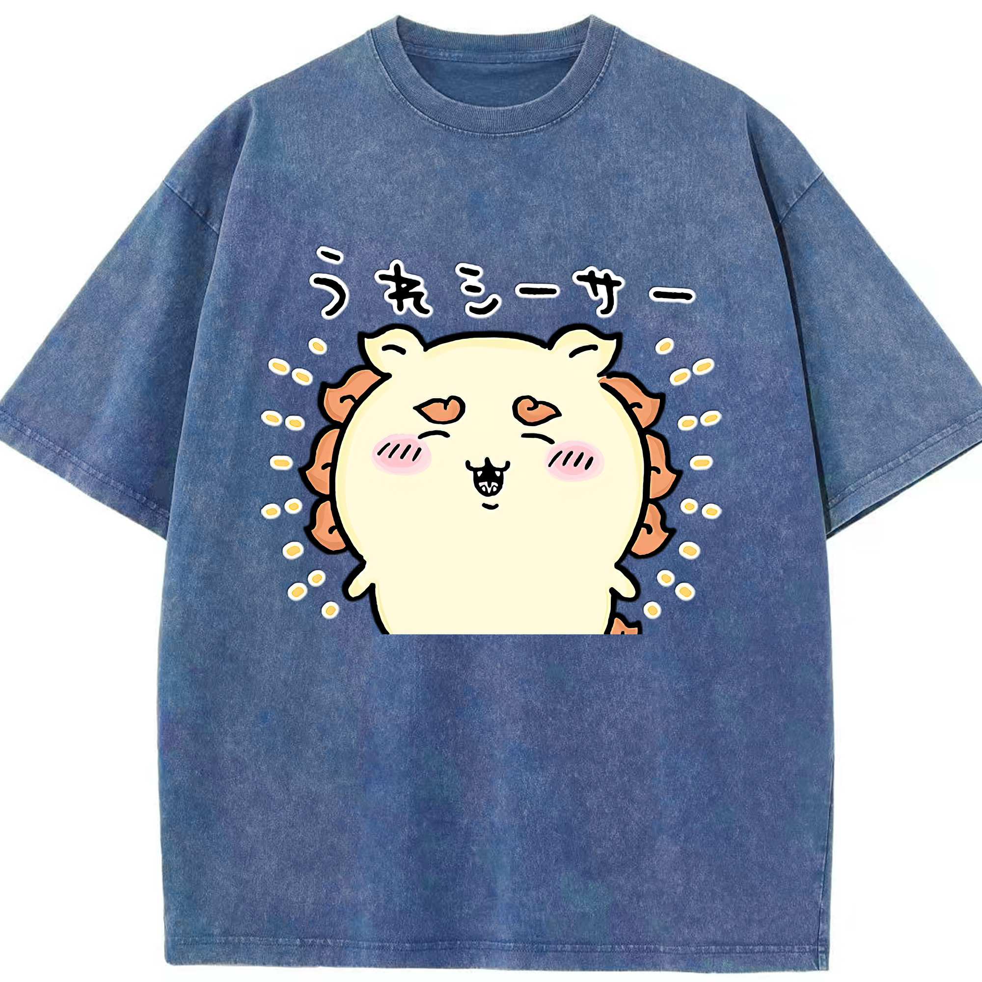 （画像用） ちいかわ シーサー Chii-kawa Shisa 綿100% ヴィンテージ風 半袖Tシャツ（フロントプリント）