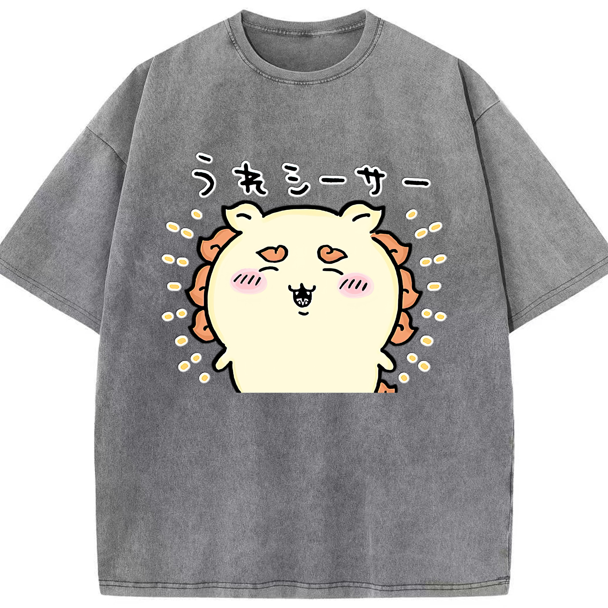 （画像用） ちいかわ シーサー Chii-kawa Shisa 綿100% ヴィンテージ風 半袖Tシャツ（フロントプリント）