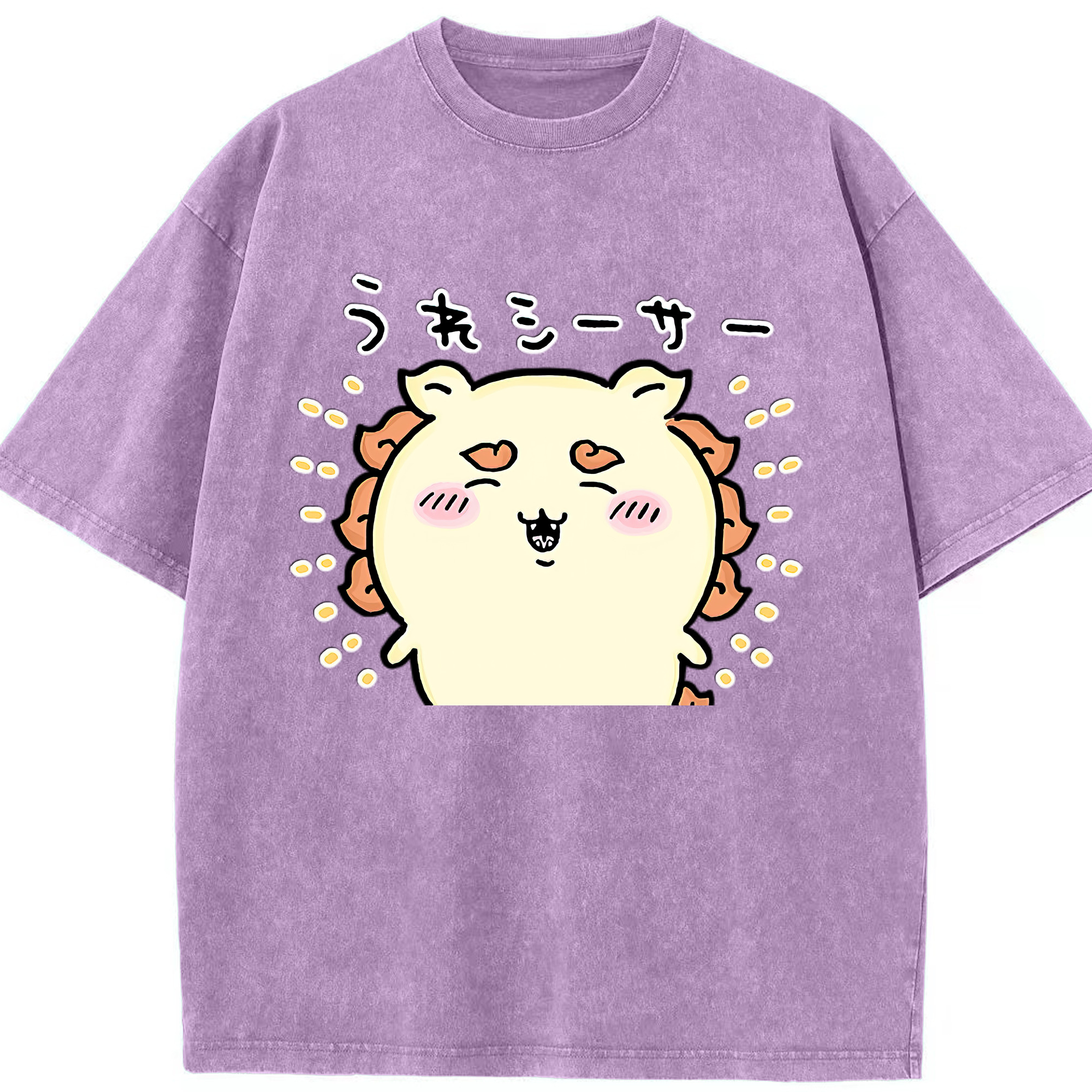 （画像用） ちいかわ シーサー Chii-kawa Shisa 綿100% ヴィンテージ風 半袖Tシャツ（フロントプリント）