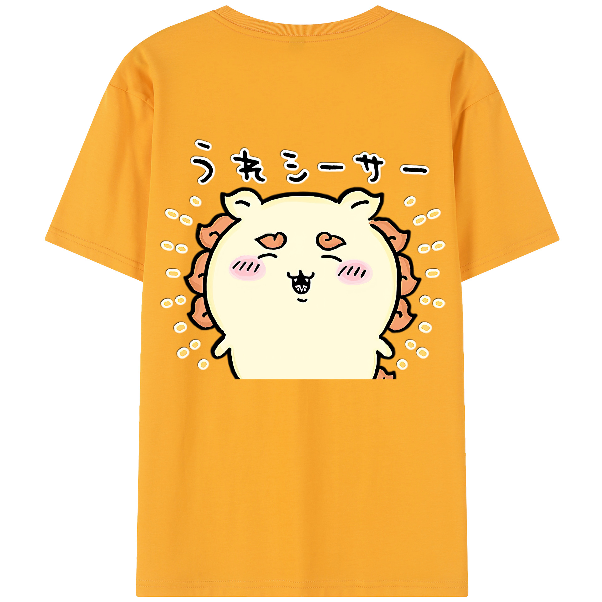 （画像用） ちいかわ シーサー Chii-kawa Shisa レディース半袖Tシャツ(バックプリント)