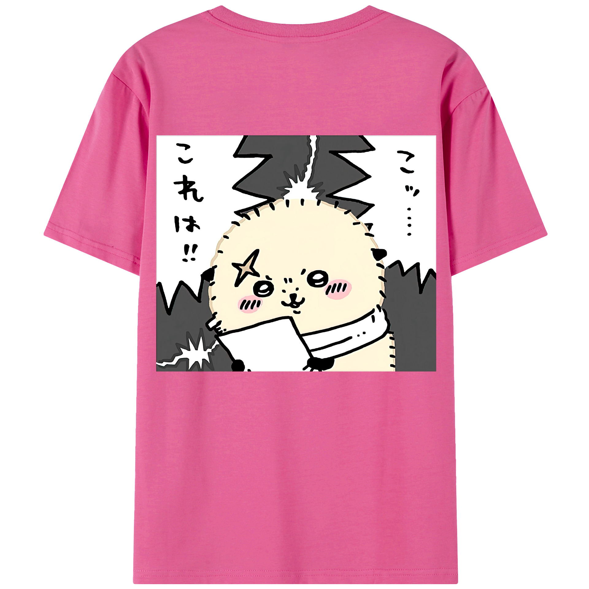 （画像用） ちいかわ ラッコ Chii-kawa Sea otter レディース半袖Tシャツ(バックプリント)