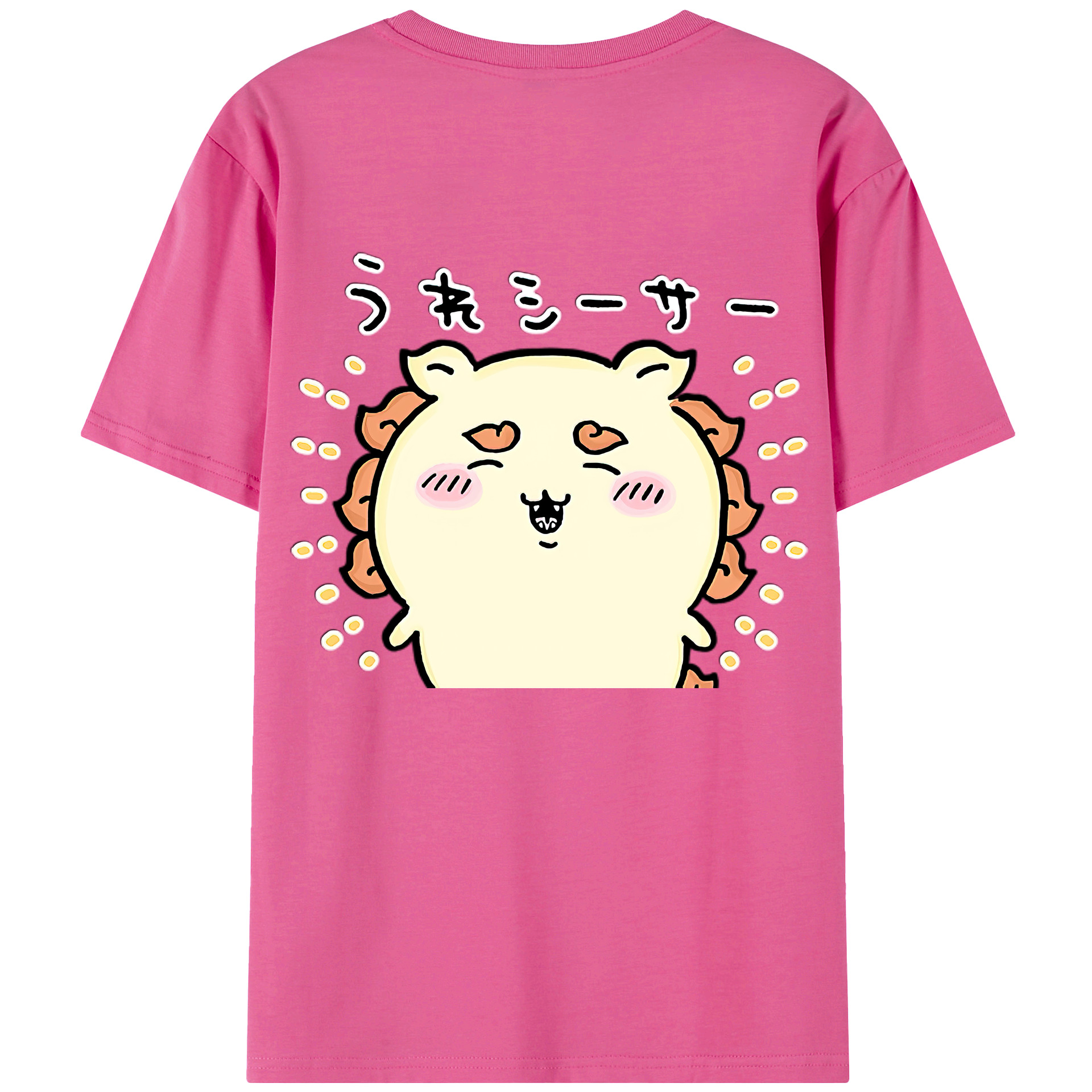 （画像用） ちいかわ シーサー Chii-kawa Shisa レディース半袖Tシャツ(バックプリント)